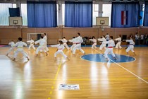 karate 1